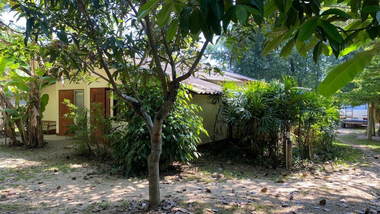 Auberge de jeunesse Brown House Chiangdao à Chiang Dao Extérieur photo